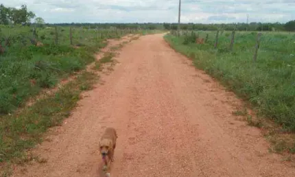 Fazenda à venda, 990000 m² por r$ 2.500.000,00 - zona rural - poconé/mt