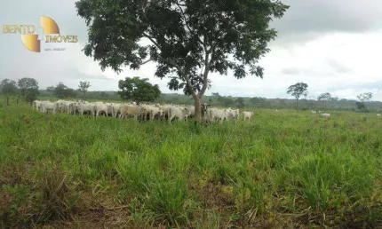 Fazenda à venda, 8360000 m² por R$ 30.000.000,00 - Zona Rural - Rosário Oeste/MT
