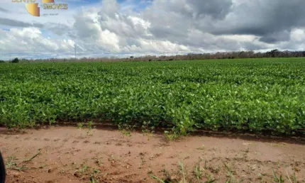 Fazenda, 50000000 m² - venda por R$ 51.000.000 ou arrendamento por R$ 10.000/mês - Zona Rural - Guarantã do Norte/MT