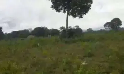 Fazenda à venda, 15000000 m² por R$ 10.000,00 - Zona Rural - Cáceres/MT