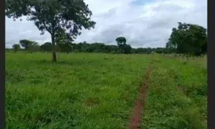 Fazenda à venda, 1910000 m² por R$ 3.250.000,00 - Zona Rural - Jangada/MT