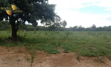 Fazenda à venda, 4010000 m² por R$ 5.000.000,00 - Zona Rural - Paranatinga/MT