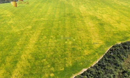 Fazenda para arrendamento, 19500000 m² por R$ 10.000/mês - Zona Rural - Canarana/MT