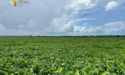 Fazenda para arrendamento, 60000000 m² por R$ 10.000/mês - Zona Rural - Juara/MT