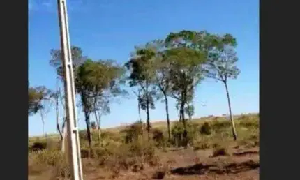 Fazenda à venda, 77440000 m² por R$ 503.000.000 - Zona Rural - Santa Maria das Barreiras/PA