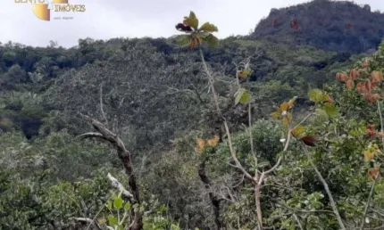 Fazenda à venda, 2500000 m² por R$ 1.500.000,00 - Manso - Chapada dos Guimarães/MT