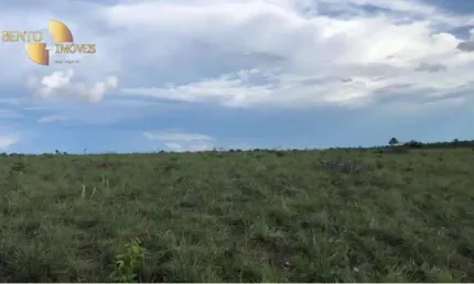 Fazenda para arrendamento, 15000000 m² por R$ 10.000/mês - Zona Rural - Paranatinga/MT