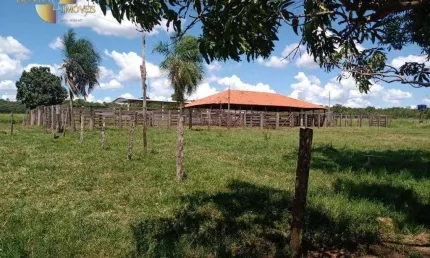 Fazenda à venda, 6350000 m² por R$ 20.000.000 - Zona Rural - Nova Xavantina/MT