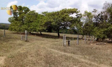 Fazenda à venda, 10640000 m² por R$ 20.000.000 - Zona Rural - Nova Xavantina/MT