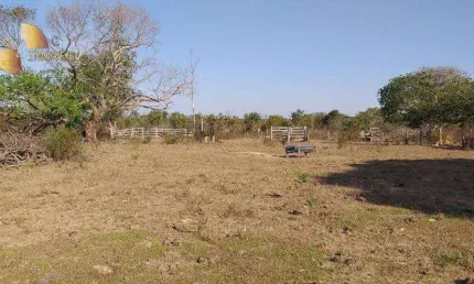 Fazenda à venda, 15630000 m² por R$ 18.000.000,00 - Zona Rural - Paranatinga/MT