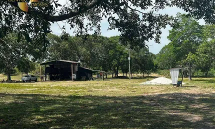 Fazenda à venda, 9650000 m² por r$ 11.580.000,00 - zona rural - nossa senhora do livramento/mt