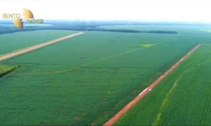 Fazenda à venda, 33500000 m² por R$ 340.000.000,00 - Zona Rural - Sorriso/MT