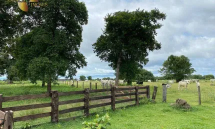 Fazenda, 200000000 m² - venda por R$ 250.000.000 ou arrendamento por R$ 420.000/mês - Zona Rural - Cocalinho/MT