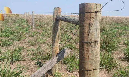 Fazenda à venda, 20000000 m² por r$ 10.000,00 - zona rural - alta floresta/mt