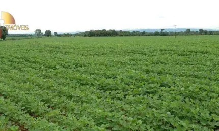 Fazenda à venda, 7270000 m² por r$ 20.000.000,00 - zona rural - poconé/mt