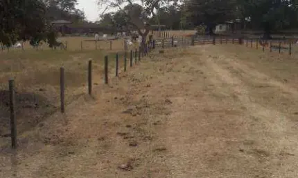 Fazenda à venda, 14070000 m² por R$ 21.000.000,00 - Zona Rural - Jangada/MT