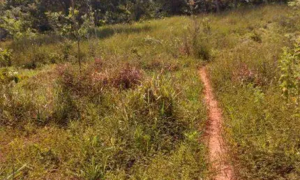Fazenda à venda, 2400000 m² por R$ 3.000.000,00 - Zona Rural - Tesouro/MT