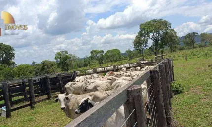 Fazenda à venda, 9120000 m² por r$ 12.000.000,00 - zona rural - tesouro/mt