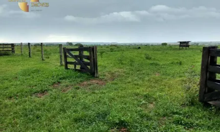 Fazenda à venda, 25000000 m² por R$ 45.000.000,00 - Zona Rural - Rosário Oeste/MT