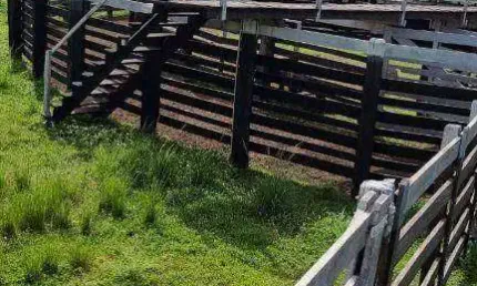 Fazenda à venda, 3200000 m² por R$ 7.000.000,00 - Zona Rural - Jangada/MT