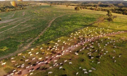 Fazenda à venda, 12940000 m² por R$ 25.880.000,00 - Zona Rural - Itiquira/MT