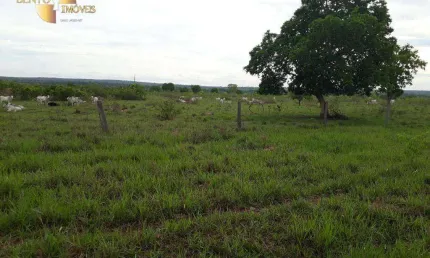 Fazenda à venda, 10000000 m² por R$ 32.000.000,00 - Zona Rural - Pontal do Araguaia/MT