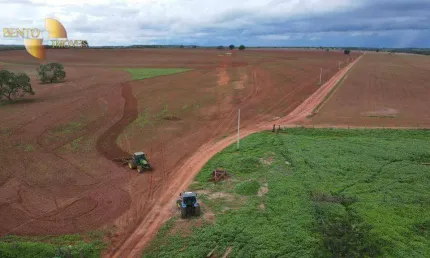 Fazenda para arrendar, 33300000 m² por R$ 10.000/mês - Zona Rural - Paranatinga/MT
