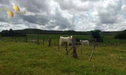 Fazenda à venda, 3800000 m² por R$ 12.000.000,00 - Zona Rural - Canarana/MT