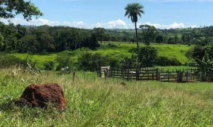 Fazenda à venda, 2825000 m² por R$ 9.338.400,00 - Zona Rural - Nova Bandeirantes/MT