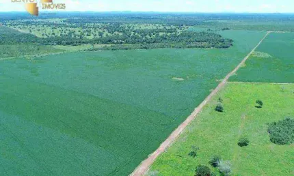 Fazenda à venda, 12100000 m² por R$ 70.000.000,00 - Zona Rural - Peixe/TO