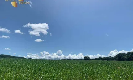 Fazenda à venda, 3370000 m² por R$ 10.000.000,00 - Zona Rural - Rondonópolis/MT