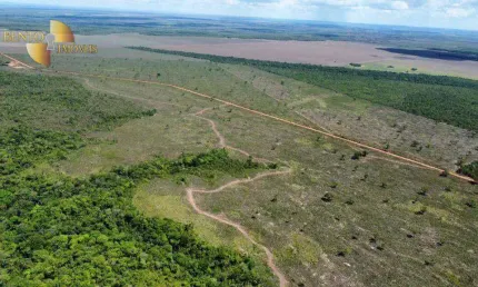 Fazenda à venda, 105000000 m² por R$ 10.000,00 - Zona Rural - Campos Lindos/TO