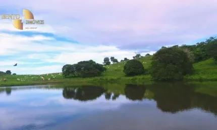 Fazenda à venda, 16670000 m² por R$ 12.000.000,00 - Zona Rural - Poconé/MT