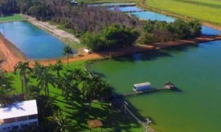 Fazenda à venda, 60000000 m² por R$ 620.000.000,00 - Zona Rural - Vera/MT