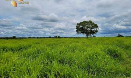 Fazenda à venda, 61350000 m² por R$ 98.160.000,00 - Zona Rural - Rondonópolis/MT