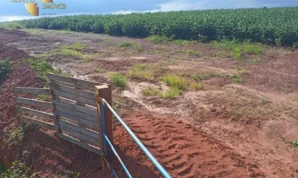 Fazenda à venda, 14860000 m² por R$ 25.500.000,00 - Zona Rural - Nova Mutum/MT