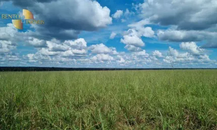 Fazenda à venda, 51500000 m² por R$ 180.000.000,00 - Centro - Feliz Natal/MT