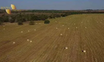 Fazenda à venda, 8000000 m² por R$ 36.000.000,00 - Zona Rural - Água Boa/MT