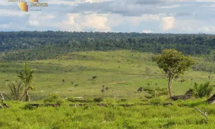 Fazenda à venda, 29983800 m² por r$ 70.000.000,00 - zona rural - aripuanã/mt