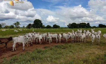 Fazenda à venda, 3700000 m² por r$ 11.100.000,00 - zona rural - poconé/mt