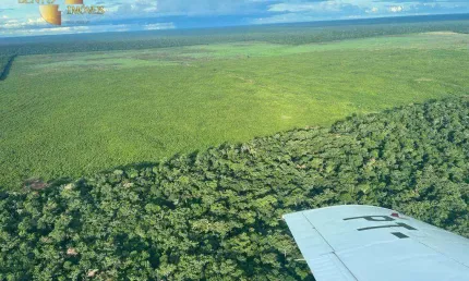Fazenda à venda, 45000000 m² por R$ 166.541.250,00 - Zona Rural - Marcelândia/MT