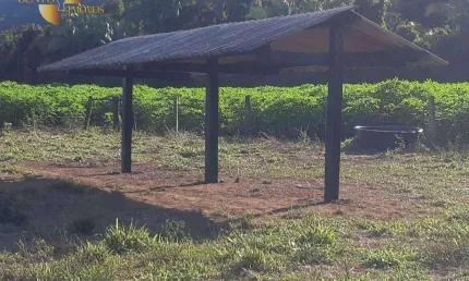 Fazenda em mimoso à venda, 1860000 m² por r$ 4.000.000 - zona rural - santo antônio do leverger/mt
