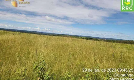 Fazenda à venda, 11620000 m² por r$ 15.000.000,00 - zona rural - alto garças/mt