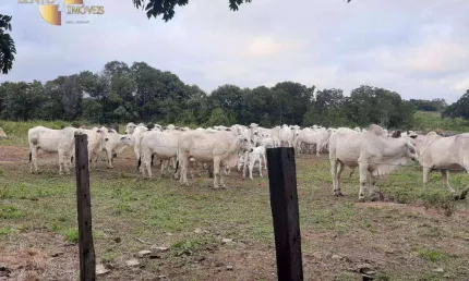 Fazenda à venda, 3250000 m² por r$ 5.500.000,00 - zona rural - rosário oeste/mt