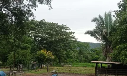 Sítio à venda, 400000 m² por r$ 1.000.000,00 - zona rural - santo antônio do leverger/mt