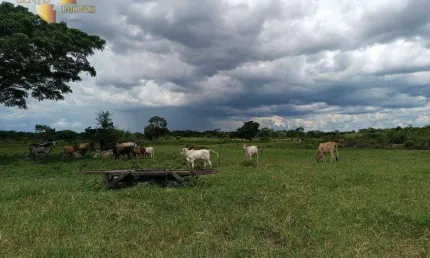 Fazenda à venda, 7000000 m² por R$ 21.000.000,00 - Zona Rural - Poconé/MT