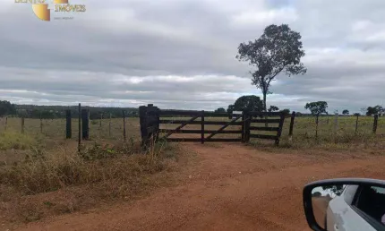Fazenda à venda, 2000000 m² por r$ 3.400.000,00 - zona rural - nossa senhora do livramento/mt