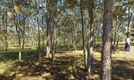 Fazenda à venda, 22660000 m² por R$ 28.000.000,00 - Zona Rural - Jangada/MT