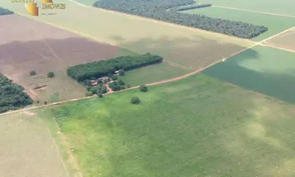 Fazenda à venda, 6540000 m² por R$ 25.000.000,00 - Zona Rural - Gaúcha do Norte/MT