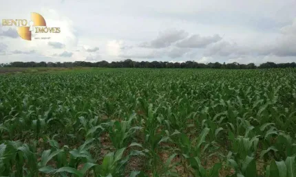 Fazenda à venda, 30250000 m² por R$ 60.000.000,00 - Zona Rural - Juara/MT